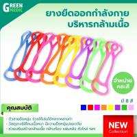 ราคา ยางยืดออกกำลังกาย บริหารกล้ามเนื้อ ซิลิโคน ยืดเส้น จำหน่ายคละสี (25775189645)