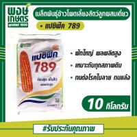ราคา เมล็ดพันธุ์ข้าวโพดเลี้ยงสัตว์ลูกผสมเดี่ยว ตราแปซิฟิค789 เมล็ดพันธุ์ 10 kg 3.5หุน (13228117679)