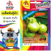 ราคา RAINBOWHORSE ผักซอง ม้ารุ้ง Z058 น้ำเต้าลูกกลม เมล็ดพันธุ์ น้ำเต้า เมล็ดพันธุ์ เมล็ดพันธุ์ผัก ผักสวนครัว น้ำเต้ากลม (42322982288)