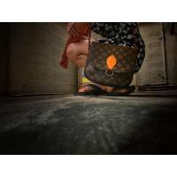 ราคา Louis Vuitton Vintage แท้ % มือสอง (6657653627)