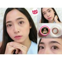 ราคา คอนแทคเลนส์ Kitty kawaii รุ่น Circle Brown (3535760909)
