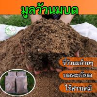 ราคา ขี้วัวนมแท้บดละเอียด ขี้วัวนมป่น แห้ง ขี้วัวนมแท้ 100% ปุ๋ยคอก ไม่มีโซดาไฟไร้สารเคมี บดละเอียด ขี้วัว มูลวัวแห้งล้วนๆ (13790074708)