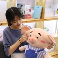 ราคา น่ารักหมูน้อยของเล่นตุ๊กตาลายหมูตุ๊กตาหมูตุ๊กตาใหญ่นอนกอดหมูน่ารักสุดน่ารักสาววันเกิด (29341499887)