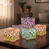 ราคา โคมไฟกลางคืนลูกบาศก์กระจกทิวลิปแฮนด์เมด - โคมไฟห้องนอนดอกไม้จําลอง DIY (28392735226)