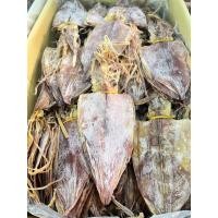 ราคา ปลาหมึกแห้ง ปลาหมึกผ่า Size7-8นิ้ว ตัวใหญ่ (24876774880)