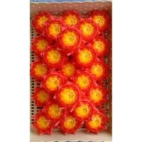 ราคา เหรียญโปรยทาน ดอกบัวดาว (23466640812)