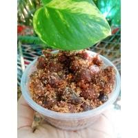 ราคา มะขามหวานคลุก กะปิ-ปลาย่าง (16268299249)