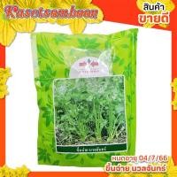 ราคา เมล็ดคื่นฉ่ายศรแดง ขึ้นฉ่าย นวลจันทร์ 350 ก. (12538334467)