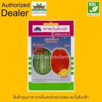 ราคา เมล็ดพันธุ์ แตงโมจินตหรา ตราตะวันต้นกล้า (6836154686)