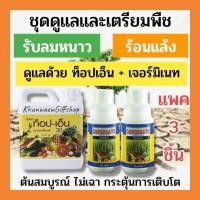 ราคา [ปุ๋ยกิฟฟารีนแท้]ชุดดูแลพืชรับลมหนาวและร้อยแล้ว ปุ๋ยทางใบ เซตแพค3ชิ้นท็อปเอ็น1ลิตร1ชิ้น+เจอร์มิเนท500ซีซี2ชิ้นใช้คู่กัน (29672426114)