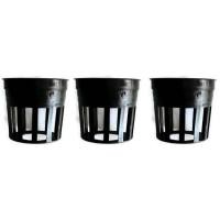 ราคา Papamami Pots Round Black Plastic กระถางพลาสติกกลมสีดำ 1 นิ้ว 3ใบ (293894926)