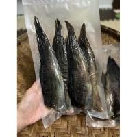 ราคา ปลาดุกร้า พัทลุง 3-4 ตัว 500 กรัม เค็มหน่อยๆ หรอย (ปลาดุกร้ากางมุ้ง) (27022167025)