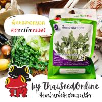 ราคา AGAHCOM เมล็ดพันธุ์ ยอดฟักทอง ฟักทองทอดยอด ทองนภา ตรากบดำกบแดง (2426761192)