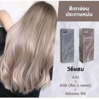 ราคา แพ็คคู่ A21 กับ A38 โทนสีเทามาแรง สีย้อมผมเบอริน่า ครีมเปลี่ยนสีผม Berina (13380683816)