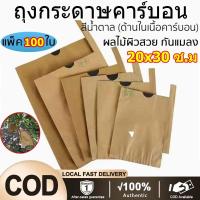 ราคา ถุงห่อผลไม้ 2 ชั้น ขนาด ถุงห่อฝรั่ง คาร์บอนขนาด ถุงห่อผลไม้ 20 x 30 ซ.ม. จำนวน 100 ใบ ถุงห่อมะม่วง ถุงคาร์บอน ทีเอบี ป้อ (28730901486)