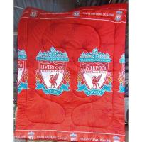 ราคา ผ้าห่มนวมขนาด 6 ฟุต ลายลิขสิทธิ์ (5562048324)