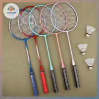 ราคา ชุดเริ่มต้นแบดมินตัน มืออาชีพ ทนทาน สำหรับการฝึกฝนและการเล่นสันทนาการ (40676079915)