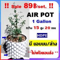 ราคา กระถาง air pot สีขาว 1 Gallon กระถางแอร์พอต ปลูก420 (air pot) size 15*20 cm (White) กระถางต้นไม้ กระถางพลาสติก (4852960373)