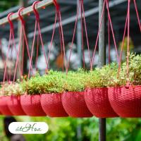 ราคา กระถางแขวนหวายหลากสีปลูกดอกไม้สวยงามสําหรับระเบียงและระเบียง (25296435964)