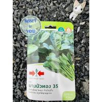 ราคา East-West Seed เมล็ดพันธุ์คะน้า (Kale seeds) บางบัวทอง 35 เมล็ดพันธุ์ผัก เมล็ดพันธุ์ ผักสวนครัว ตราศรแดง (11327264450)