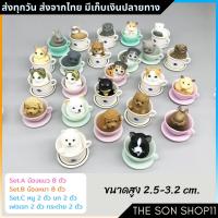 ราคา ตุ๊กตาแมวในถ้วยชา ชุดละ 8 ตัว พร้อมส่งจากไทย กาชาปอง ฟิกเกอร์แมว กาชาปอง ตุ๊กตาหน้ารถ ตุ๊กตาโต๊ะคอม (5394421230)