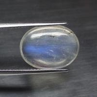 ราคา พลอย หลังเบี้ย มูนสโตน มุกดาหาร เหลือบ ฟ้า น้ำเงิน ธรรมชาติ แท้ ( Natural Blue Flash Moonstone ) หนัก 6.05 กะรัต (7397251199)