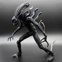 ราคา LY NECA Alien Action Figure Aliens Xenomorph Blue Predators Riple Action Figure NECA Model (29387590100)