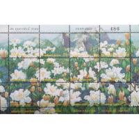 ราคา แสตมป์ที่ระลึก ปี 2000 สภาพใหม่ ไม่เคยใช้งาน ทุ่งกุหลาบขาว ดอยเชียงดาว จ.เชียงใหม่ 25 กุมภาพันธ์ 2543 (7317698974)