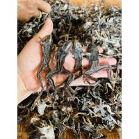 ราคา เขียดนาตากแห้ง 100กรัม65 บาท ❤️บางตัวมีไข่ ตัวใหญ่คละไชร์ (3027918973)