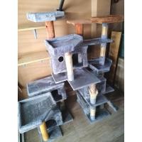 ราคา คอนโดแมวมือ2 สภาพดีมาก (27907568334)