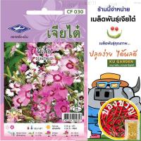 ราคา เมล็ดพันธุ์/CHIATAI ดอกไม้ เจียไต๋ H030#ผีเสื้อ ดอกไม้ซอง ผักซอง เมล็ดพันธุ์ เมล็ดพันธุ์ผัก เมล็ดพันธุ์ดอกไม้ ดอกไม้เจี (21758928934)