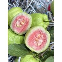 ราคา ฝรั่งไส้แดงหรือหงเปาสือ ตัดสดใหม่ทุกออเดอร์(ฟรีผงบ๊วยทุกการสั่งซื้อ) (26277786544)