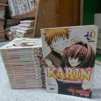 ราคา คารินแวมไพร์สาวจอมป่วน1-14เล่มจบ (27926808202)