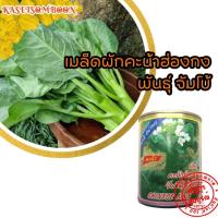 ราคา คะน้าฮ่องกงจัมโบ้ เมล็ดพันธุ์ 65 ก. ลำต้นใหญ่ ยอดอวบ มีน้ำหนักดี รสหวานกรอบ (19124307193)