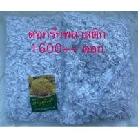 ราคา ดอกรักปลอม ดอกรักพลาสติก ดอกรักสีขาว (3849836128)