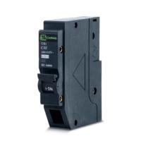 ราคา CHANG ลูกเซอร์กิต 1ช่อง(1P) 10A, 16A, 20A, 32A (11348542305)