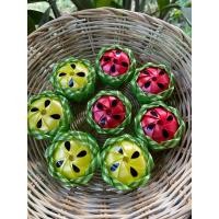 ราคา เหรียญโปรยทานแตงโม 20 ชิ้น (23615788071)