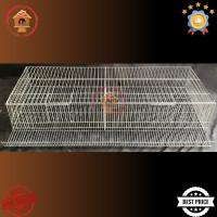 ราคา ชุบสังกะสีวางนกกระทากรง (40500247747)