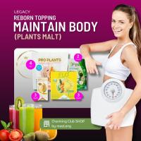 ราคา Reborn Topping Maintain Body (PRO PLANTS CEREAL MALT) (25554965264)