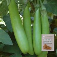 ราคา เมล็ดมะเขือยาวสีเขียว70เมล็ด (5แถม1คละได้) (17097900603)