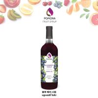 ราคา Pomona – Blue Berry Syrup โพโมนา ไซรัปบลูเบอร์รี 1000ml [ไซรัปพรีเมียม ผลิตจากประเทศเกาหลี] (4040147776)
