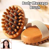 ราคา Body Massage Brush Remover Anti Cellulite Exfoliates เครื่องมือนวดการไหลเวียนโลหิต (40011574432)