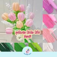 ราคา (10ใบ) ลูกโป่ง ลูกโป่งบิด ลูกโป่งยาวไส้เป็ด ไส้ไก่ ขนาด 260 ลูกโป่งไส้ไก่ ลูกโป่งไส้เป็ด (40902906298)