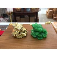 ราคา ♘﹍✣คางคกคาบเหรียญ (กบคาบเหรียญ) (9659713011)