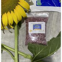 ราคา เมล็ดพันธุ์ ดอกทานตะวัน แปซิฟิค อะควอร่า6 Sunflower seeds แบ่งขาย (21349007392)