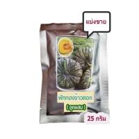 ราคา ฟักทองข้าวตอก ทิพย์ทอง ตรา Seedline เนื้อเหลืองเข้ม หนาแน่นมัน มีแบ่งขาย (28374818303)