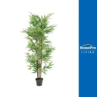 ราคา HomePro ต้นไผ่ประดิษฐ์ LALA HOME 150 ซม. แบรนด์ SPRING (18273027086)