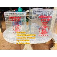 ราคา กรงโชกรงวอมไก่แจ้ไก่ประกวดไก่สวยงาม (1125645712)