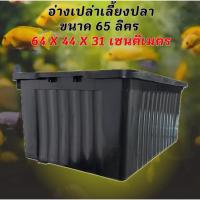 ราคา อ่างเลี้ยงปลา 65 ลิตร อ่างเปล่าสีดำ 64x44x31ซ. อ่างปลาบอลลูน อ่างปลากัด อ่างปลาสวย กะบะเลี้ยงปลา อ่างเลี้ยงปลา (43060681778)