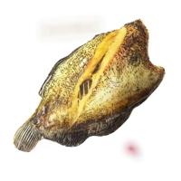 ราคา bringmehug หมอนปลาสลิดทอด 70 ซม. หมอนหนุนนอน รองนั่ง หรือ แต่งร้านอาหาร (634674965)